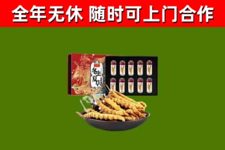 济宁市烟酒回收冬虫夏草礼盒.jpg